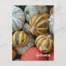 Recherche de gourde cartes postales Citrouille