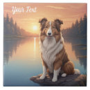 Recherche de colley carreaux Animal