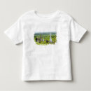 Recherche de kilkenny tshirts Cimetière