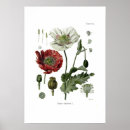 Recherche de opium posters Illustration