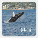 Recherche de de baleine autocollants Pour tous