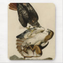 Recherche de queue de souris Illustration