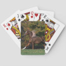 Recherche de arabe jeux de cartes Cheval