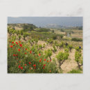 Recherche de la rioja Belle