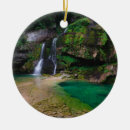 Recherche de superbe ornements Nature