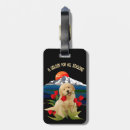Recherche de golden retriever bagages étiquettes Voyage