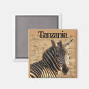 Recherche de rayures de zèbre photographie Savane