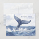 Recherche de queue de baleine cartes postales Mer