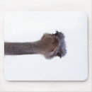 Recherche de autruche tapis souris Mignon
