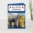Recherche de humour allemand cartes postales Humour de chien