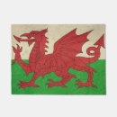 Recherche de drapeau dans la paillassons Icône