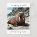 Recherche de morse cartes postales Océan