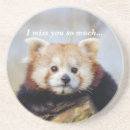 Recherche de pandas mignons dessous de verres Porter