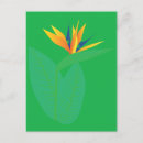 Recherche de oiseau de fleur de paradis cartes postales Nature