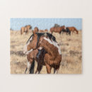 Recherche de mustang puzzles Chevaux