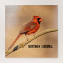 Recherche de cardinal puzzles Cardinal du nord