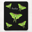 Recherche de la luna tapis souris Insecte