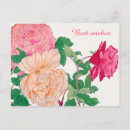Recherche de orange et blanc cartes postales Botanique