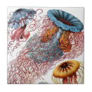 Recherche de espèces carreaux Nature