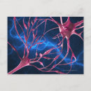 Recherche de nerveux cartes postales Biologie
