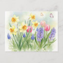 Recherche de jacinthe cartes postales Fleur