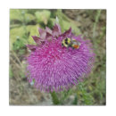 Recherche de chardon carreaux Abeille