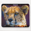 Recherche de menacé tapis souris Faune