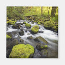 Recherche de brouillé magnets Nature