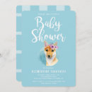 Recherche de shiba invitations Chien