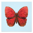 Recherche de coq rouge posters Peinture