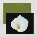 Recherche de callas cartes postales Pour elle