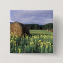 Recherche de rural badges Campagne