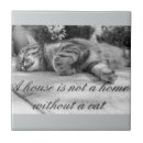 Recherche de chat tigré carreaux Noir