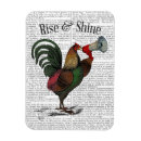 Recherche de de coq magnets Animaux