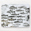 Recherche de zoologie tapis souris Espèces