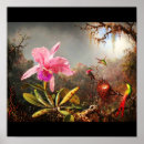 Recherche de heade martin johnson posters Rose