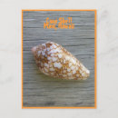 Recherche de cône cartes postales Hawaii