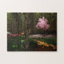 Recherche de fougère puzzles Rose