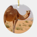 Recherche de chameau ornements Animal