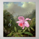 Recherche de heade martin johnson posters Hayon