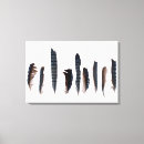 Recherche de bluejays posters Plumes