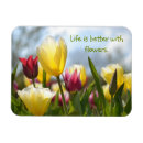 Recherche de tulipe magnets Rouge