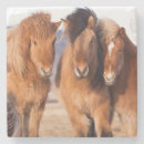 Recherche de cheval islandais dessous de verres Délimiteur danita