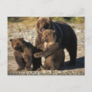Recherche de comportement cartes postales Alaska