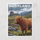 Recherche de vaches cartes postales Travel