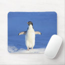 Recherche de manchot tapis souris Animal
