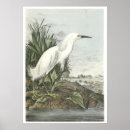 Recherche de peinture américaine posters Nature
