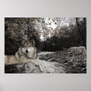 Recherche de ruisseau art Imprimer
