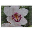 Recherche de fleurs tropicales planches à découper Élégant