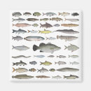 Recherche de bassins magnets Lac